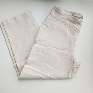Ruby Rd. Women's Tan Solar Millennial Stretch Pull-On Trousers - Size 22W